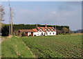 Red Lion House in Lion Lane, Thurton