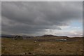 NR4164 : Eacharnach Farmstead, Islay by Becky Williamson