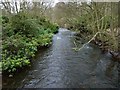 River Leven