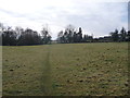 SO3914 : Footpath across pasture near Llantilio Crossenny by Jeremy Bolwell