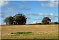 TQ4617 : Field of stubble near Isfield by nick macneill