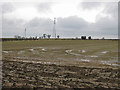 Semi-ploughed land