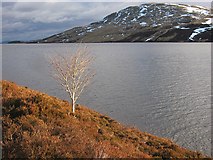 NN8127 : Loch Turret by Richard Webb