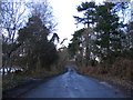 TM4567 : Road & footpath into Minsmere Nature Reserve by Geographer