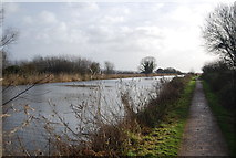 SX9588 : Exe Valley Way and Exeter Canal by N Chadwick