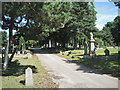 A drive in Witton Cemetery