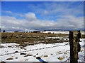 View north from the lane north of Stuartfield