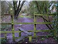 Footpath by housing estate at Otterbourne