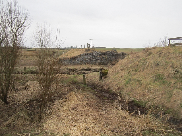 Bridge buttress, Eden Water © Richard Webb cc-by-sa/2.0 :: Geograph ...