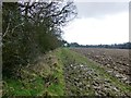 Footpath 2198 approaching Decoy Cottage