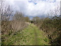 View north along footpath 365