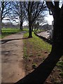 Path, Victoria Park, Paignton