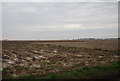 Muddy field by Stourmouth Rd