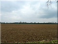 A ploughed and harrowed field