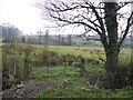 Gate, Rathwarren