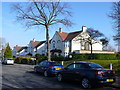 Houses in Lovelace Rd