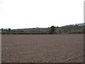 Ploughed field