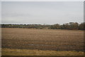 Field by the railway line