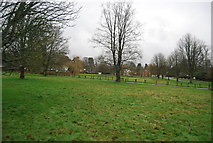 TQ0343 : Village Green, Shamley Green by N Chadwick