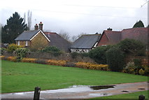 TQ0343 : Cottages, Shamley Green by N Chadwick