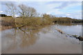 A flooded Bow Brook