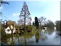 River Loddon near Wargrave