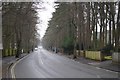 Looking down Chilbolton Avenue