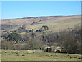 The valley of the River South Tyne around Softley