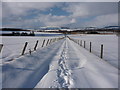 Looking down the snowy track