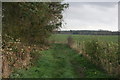 Footpath by Langley Loch