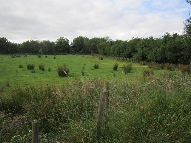 Grassland by Richard Manning