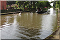 Narrowboat nearing a family of swans, Grand Union Canal