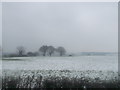 Snow covered field near Hersden