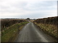 NY1327 : Lane leading to Cockermouth by David Purchase