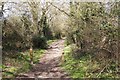 Hook Lane (bridleway)