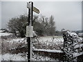 Footpath finger post near Llangattock-Vibon-Avel in March