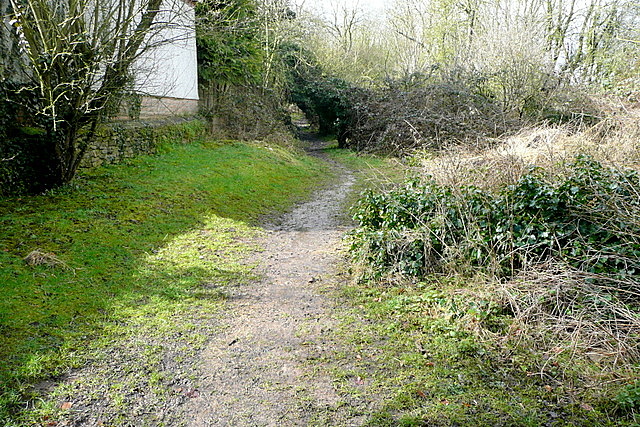 Frogwelldown Lane