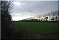 Farmland on the edge of Canterbury