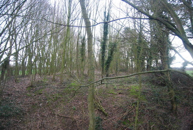 Elham Valley Railway © N Chadwick :: Geograph Britain and Ireland