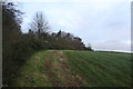 Footpath along the field boundary