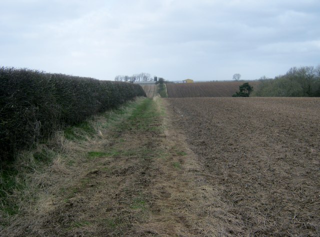 Bridleway to and beyond Little Ketton Farm
