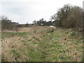 Footpath behind McLelland Crescent