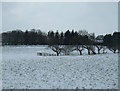 Farmland, Bolton Fold Farm