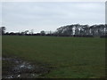 Farmland north of Lytham Road