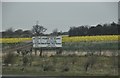 North Cornwall : A30 Roadside & Sign