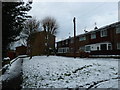 Snow covered grass between Bramshaw and Tunworth Courts