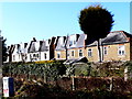 Houses In Cromwell Rd