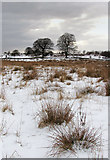 NT0197 : Rough pasture near Powmill by William Starkey