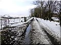 Road at Glenroan