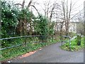 ST6173 : Footpath to Whitehall Road by Christine Johnstone